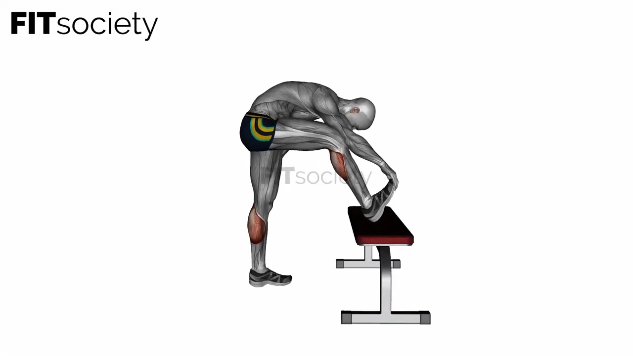 Standing Gastrocnemius Stretch