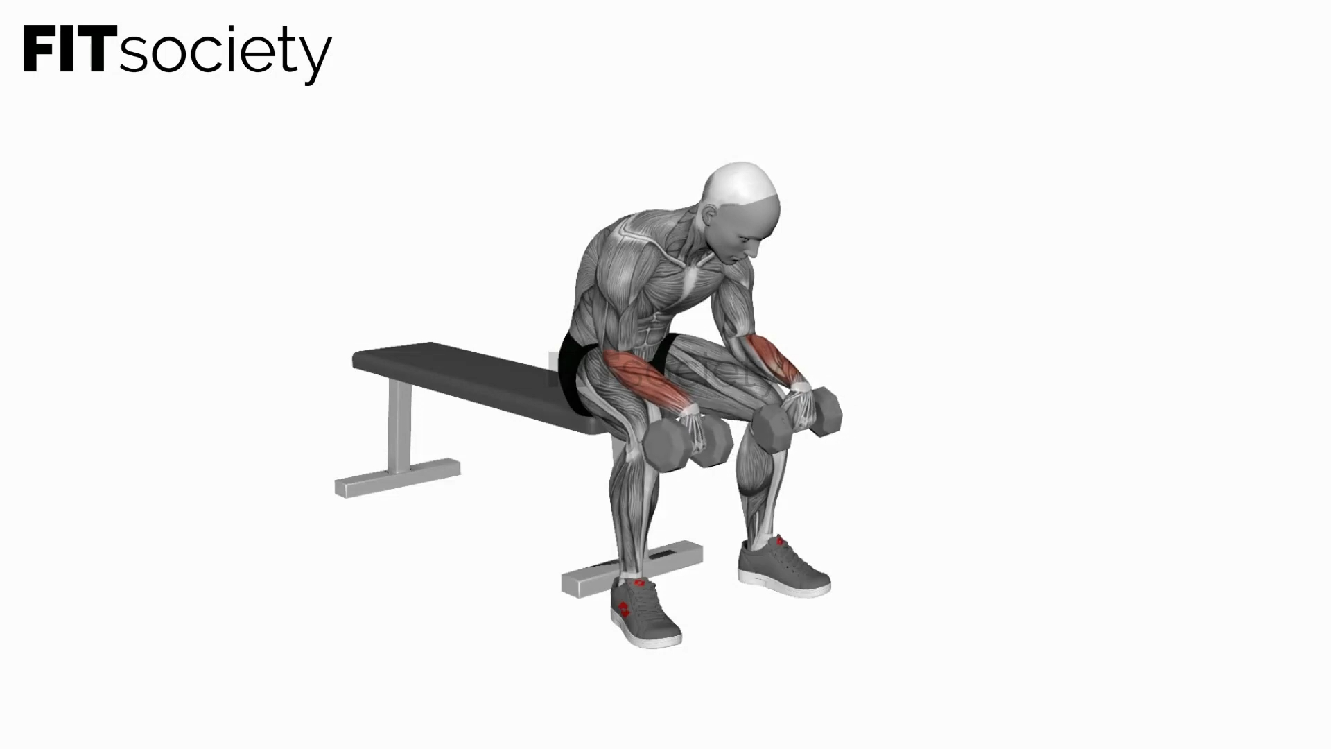 Dumbbell Reverse Wrist Curl