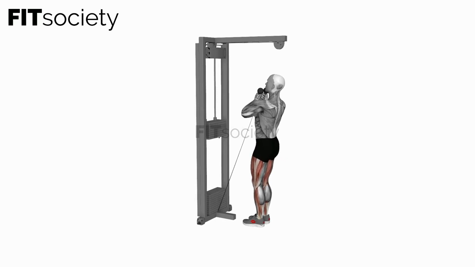 Cable Narrow Chair Stand-Up