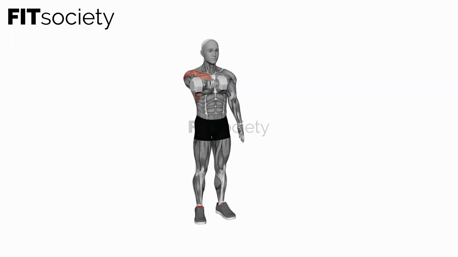 Dumbbell Single Arm Underhand Front Raise
