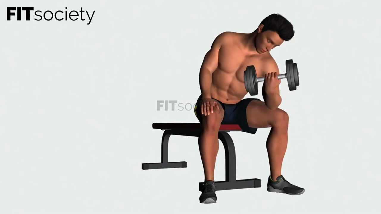 Concentration Bicep Curls