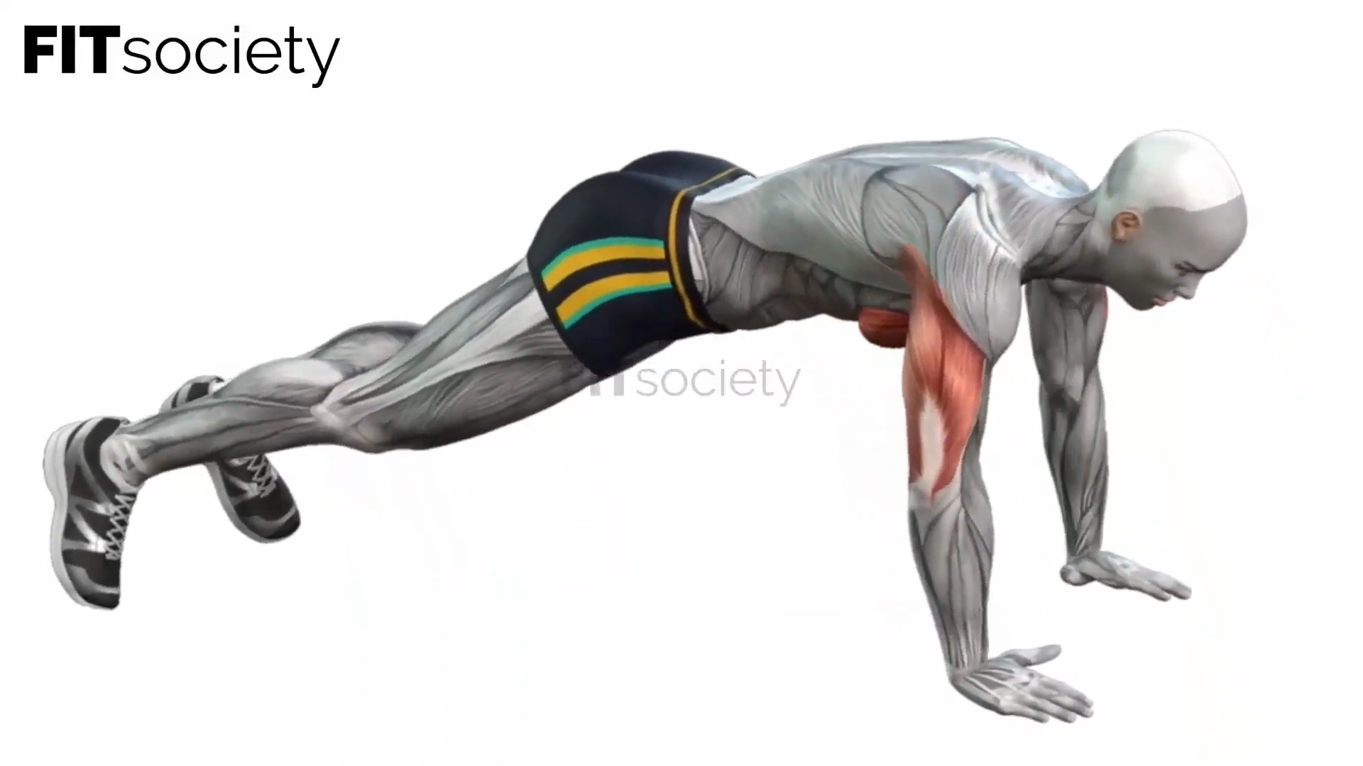 Push-Ups (Bodyweight)