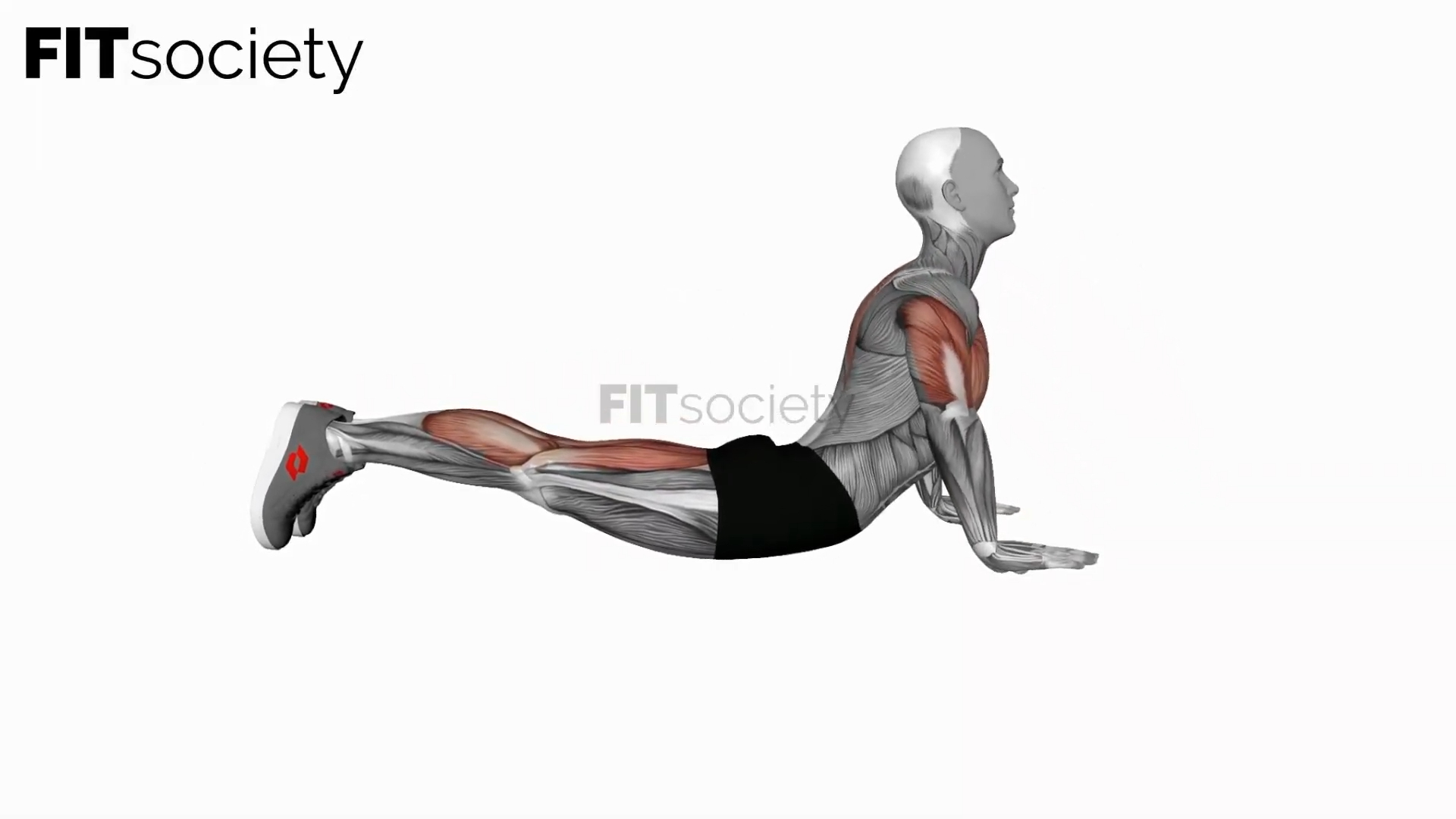 Cobra Full Push Up