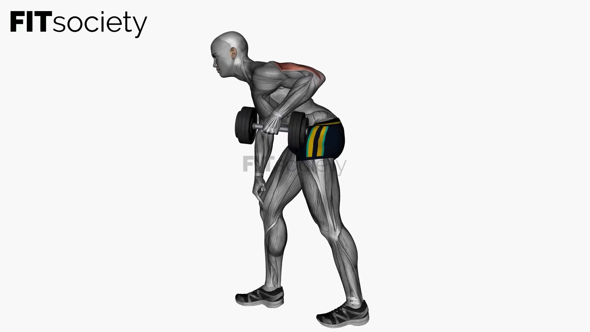 Single-Arm Dumbbell Triceps Kickback