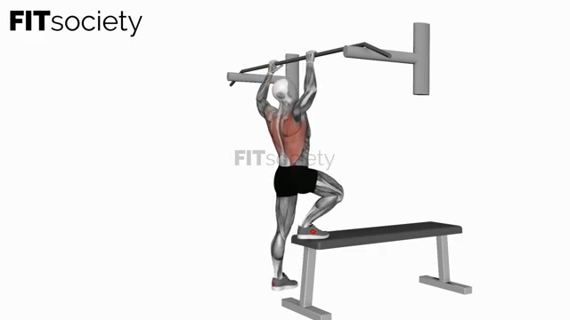 Bench Pull-Ups