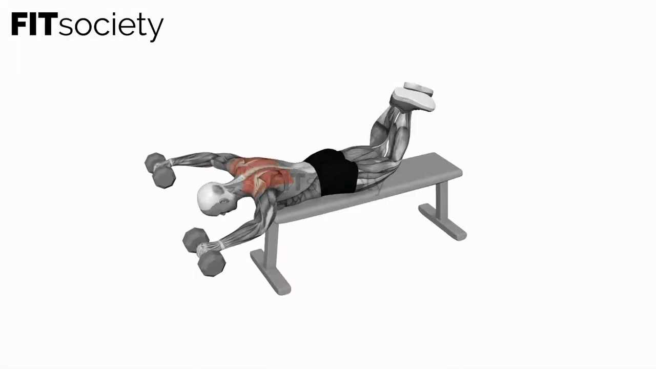 Dumbbell Face Down Lying Shoulder Press