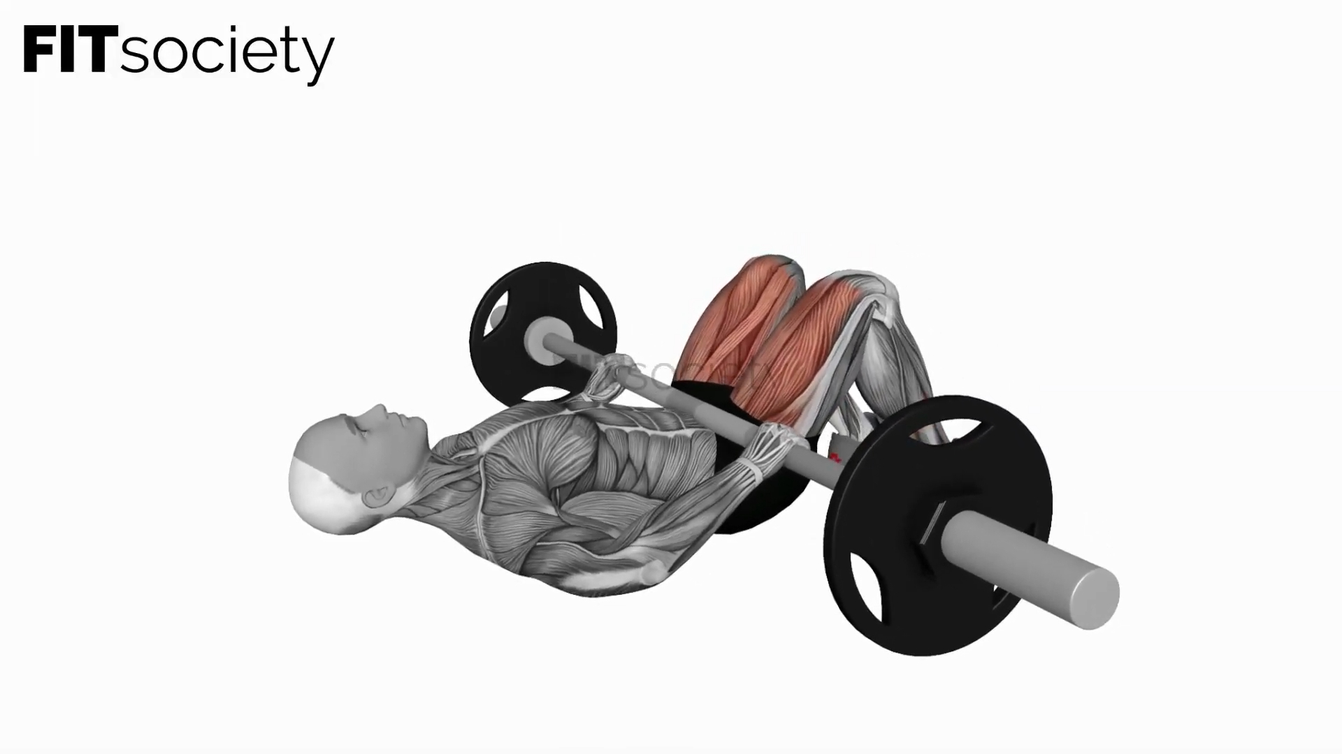 Barbell Glute Bridge