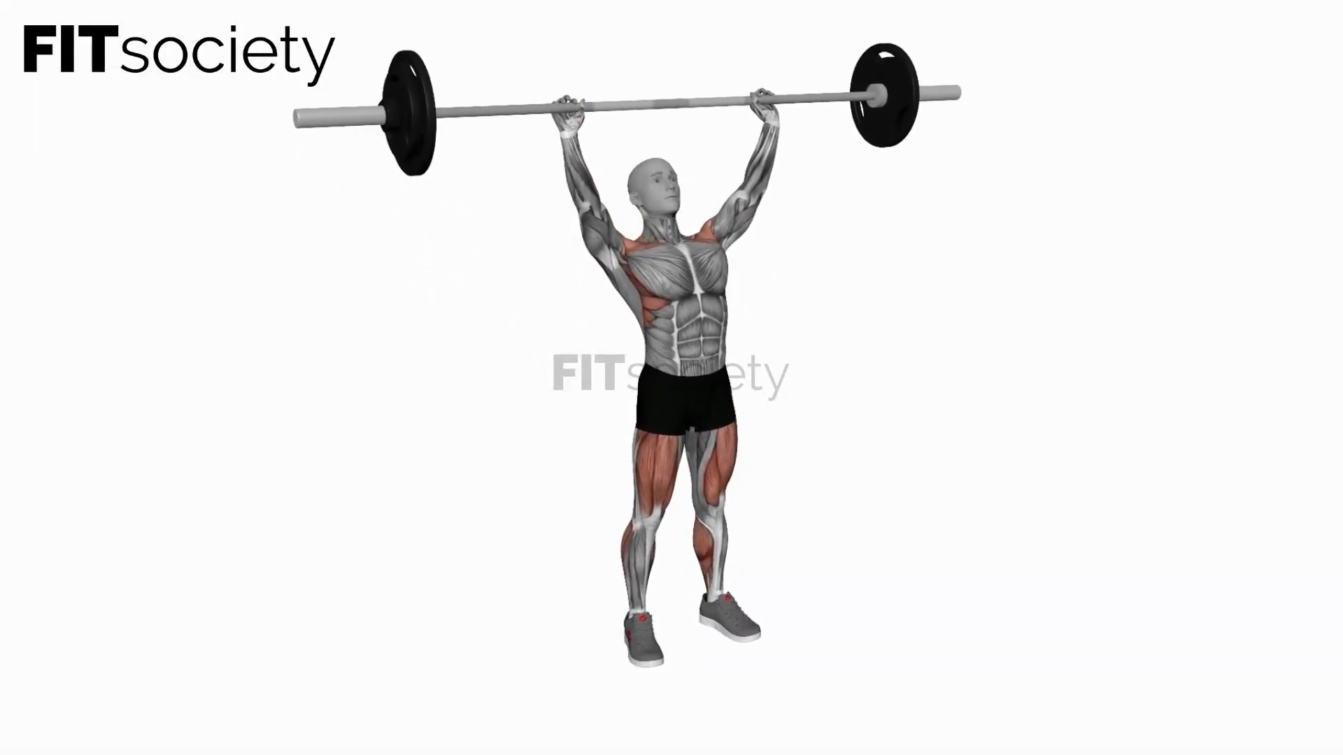 Power jerk avec barre