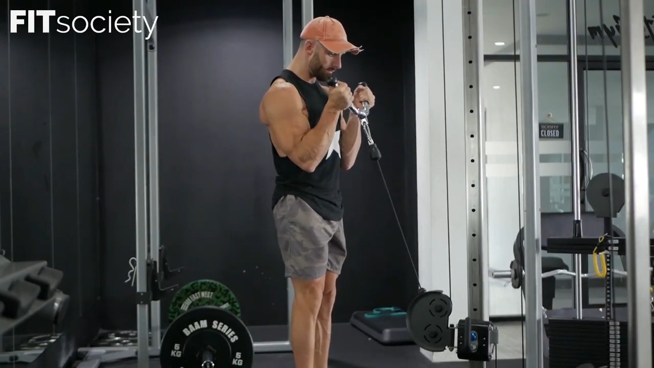 V-Bar Bicep Curls