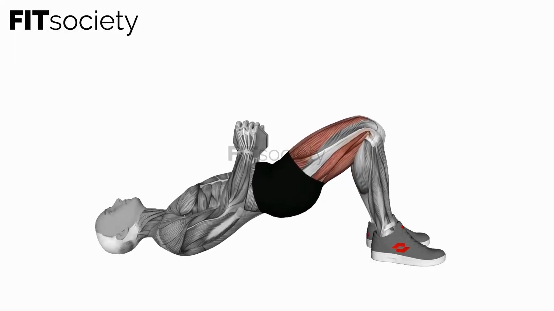 Dumbbell Glute Bridge