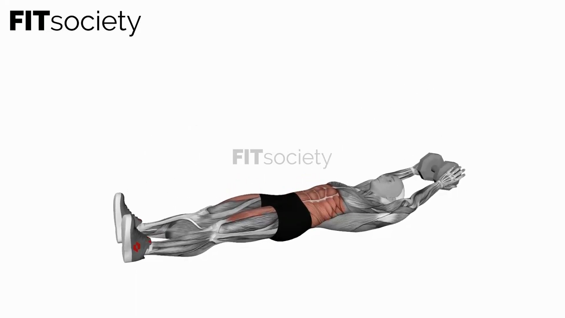 Dumbbell V-Up