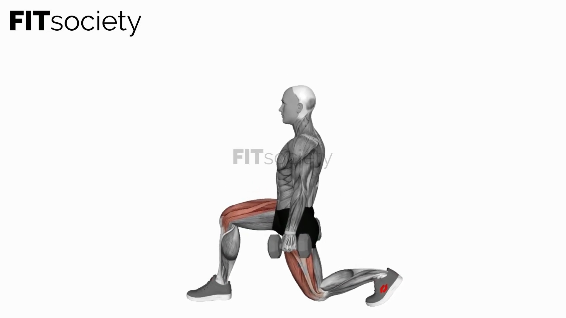 Dumbbell Static Lunge
