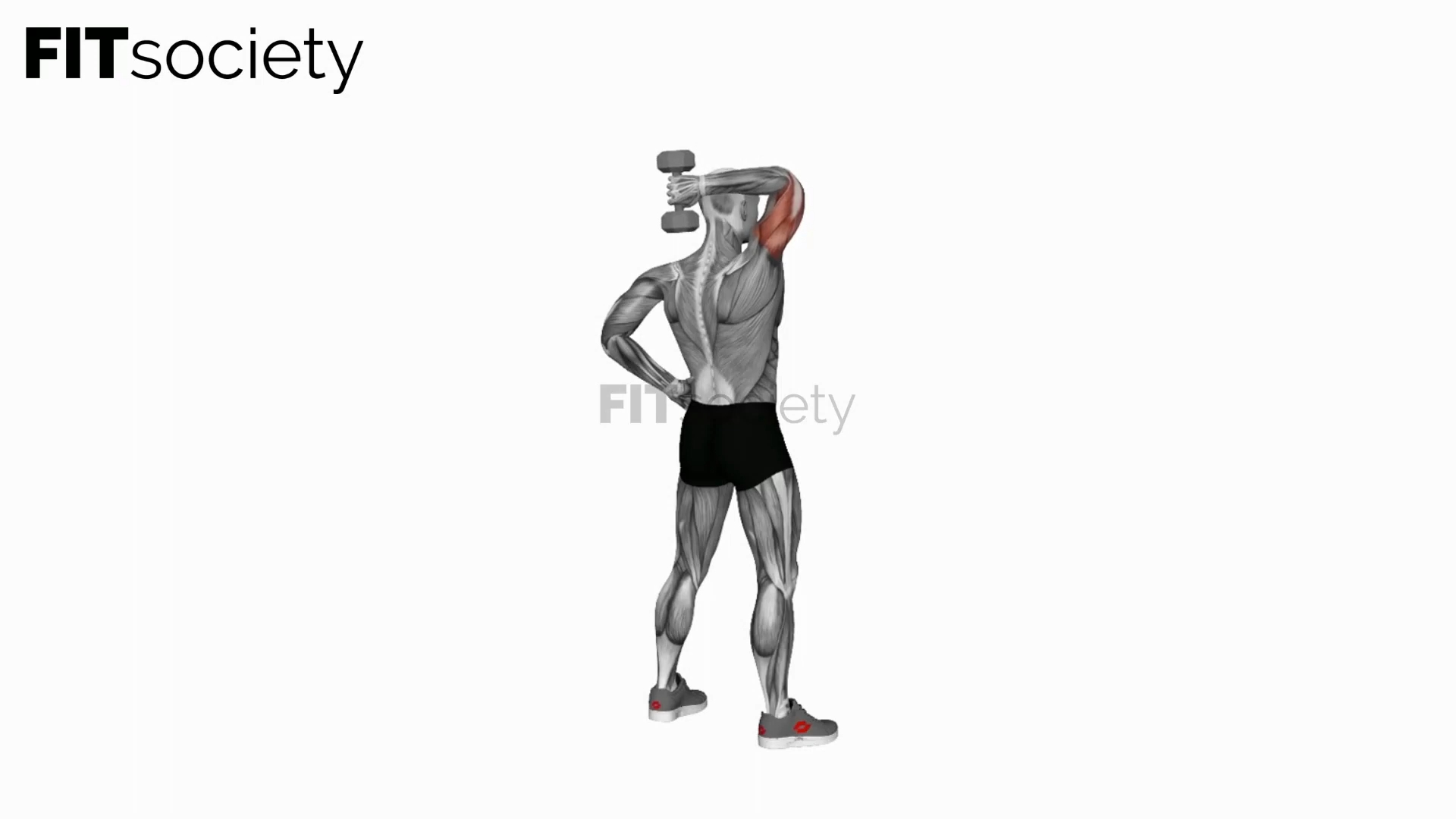 Dumbbell Standing One Arm Extension