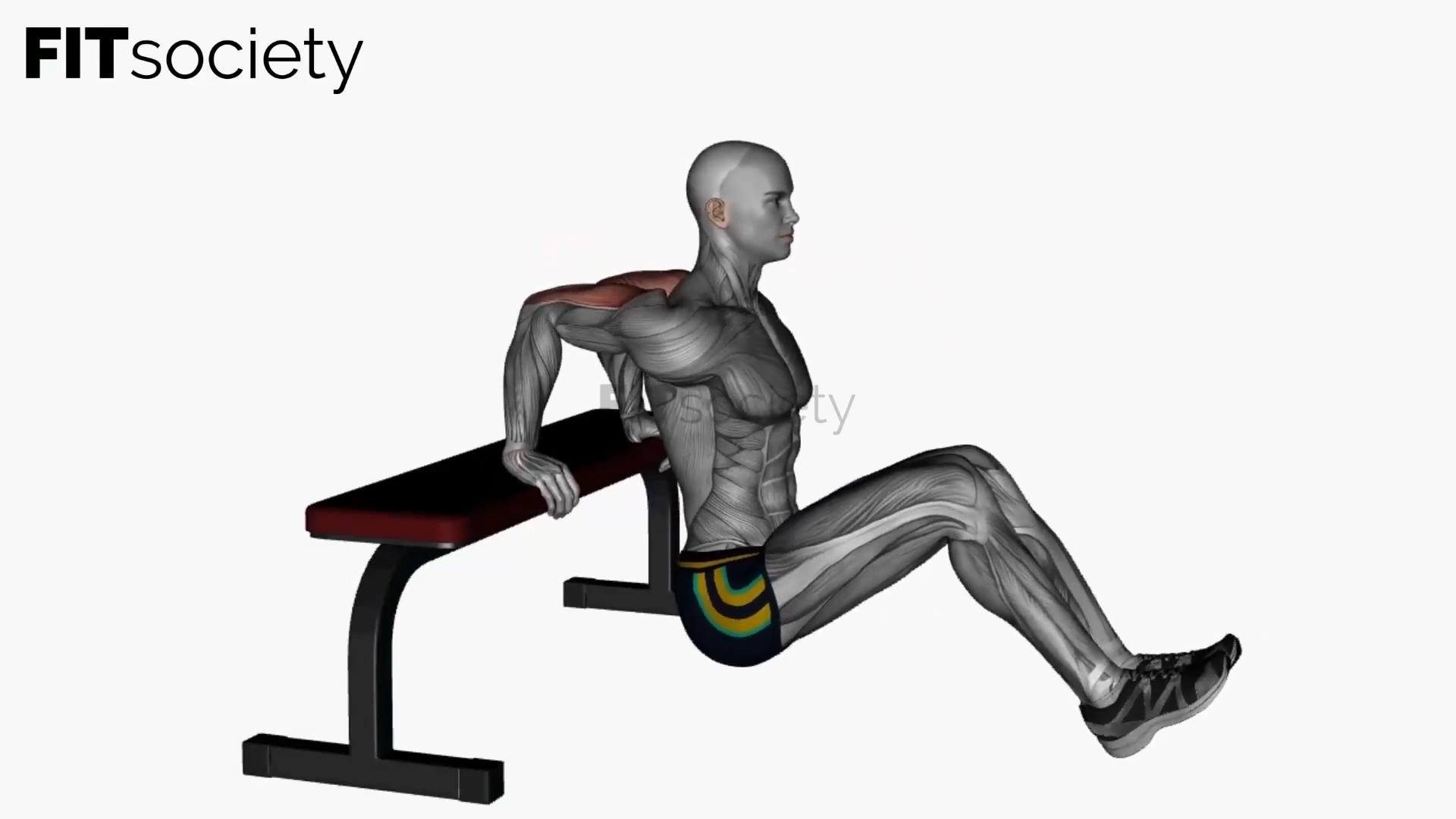 Dips triceps sur banc avec leg curl