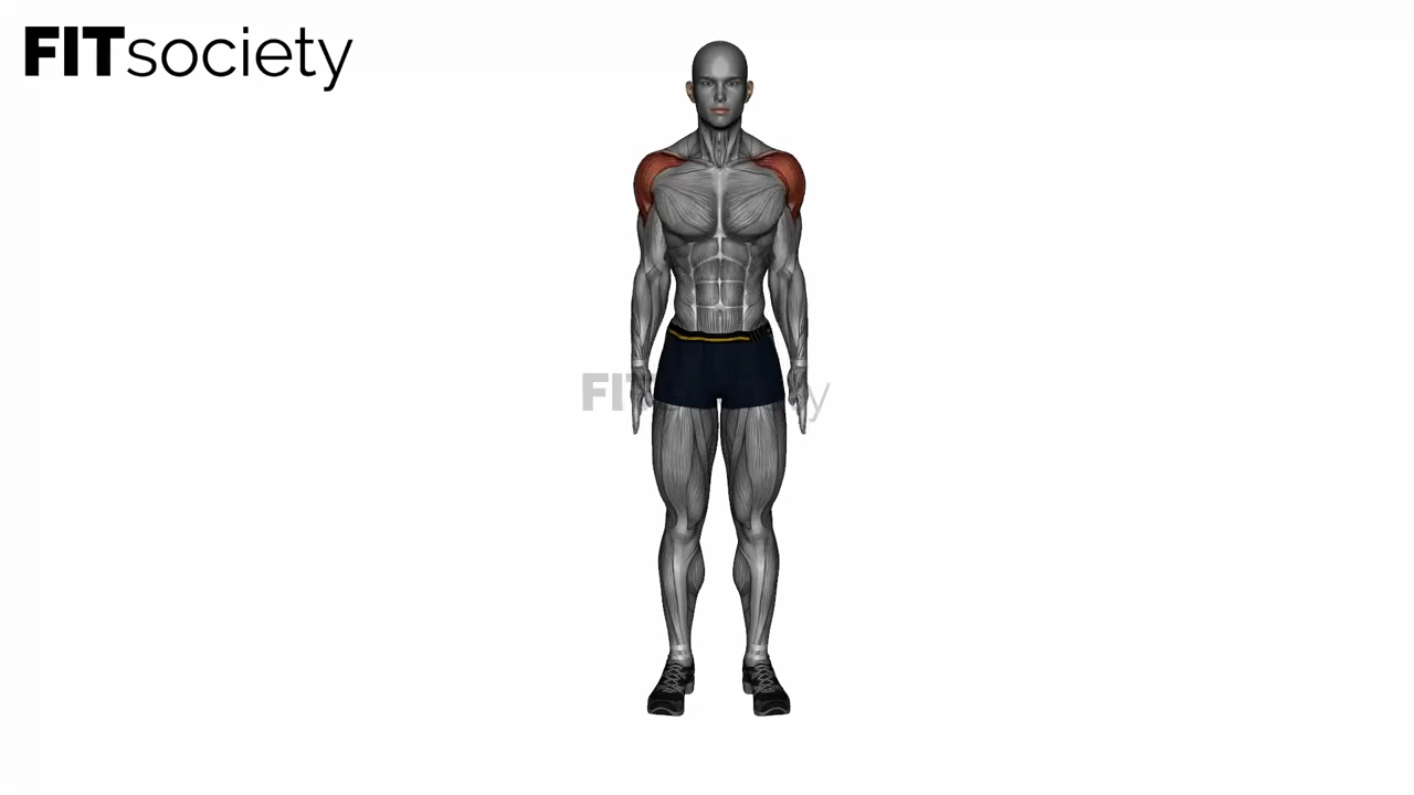 Rear Deltoid Stretch