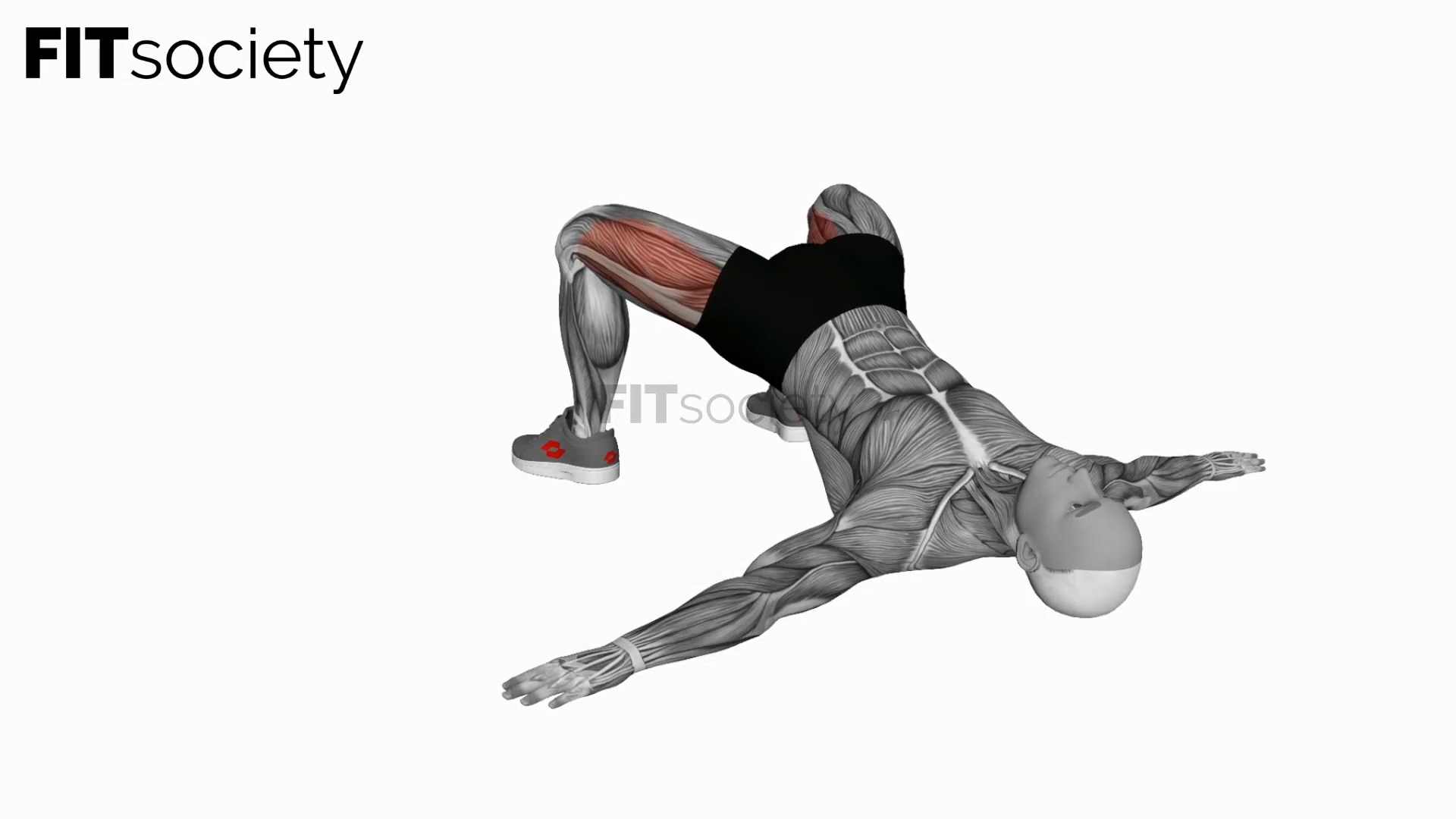 Bridge Hip Abduction