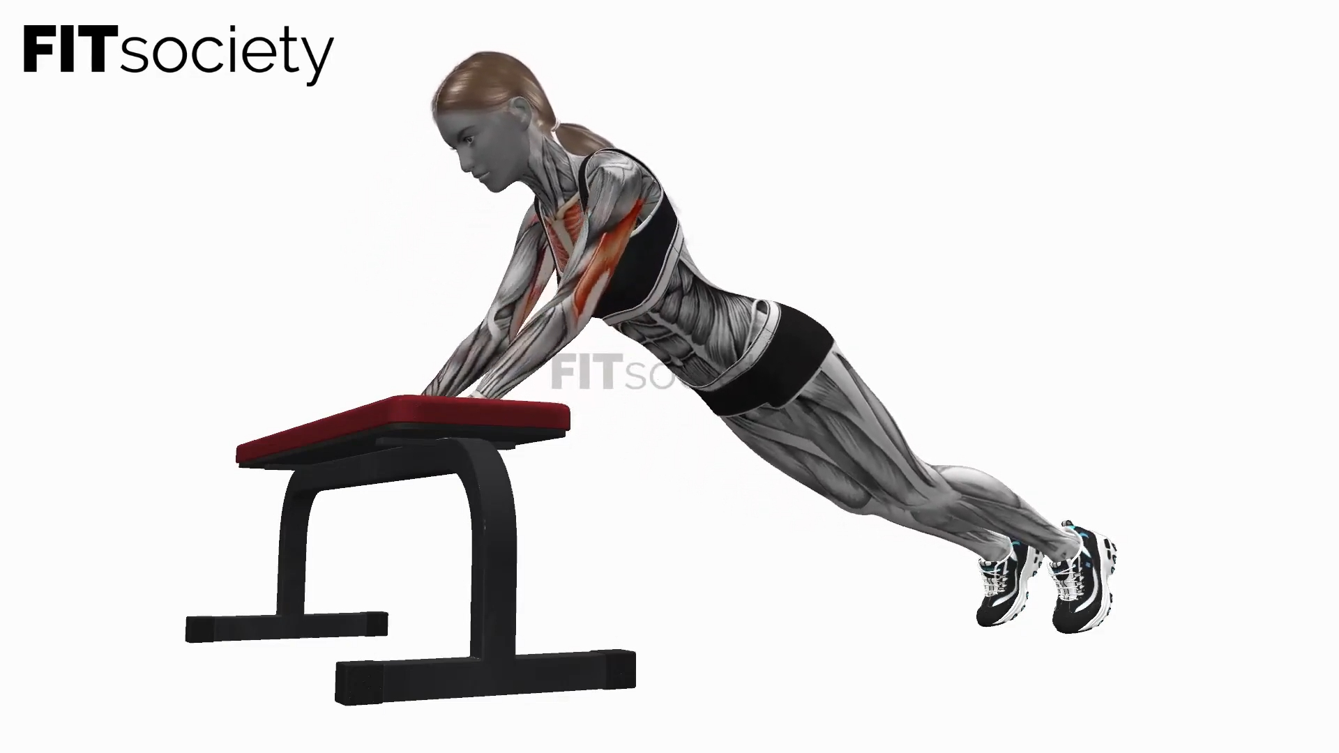 Incline Diamond Push Up On Bench