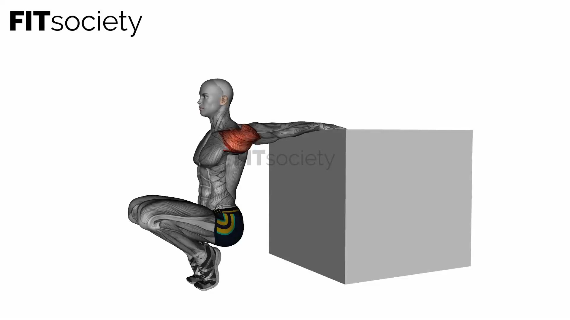 Reverse Shoulder Stretch