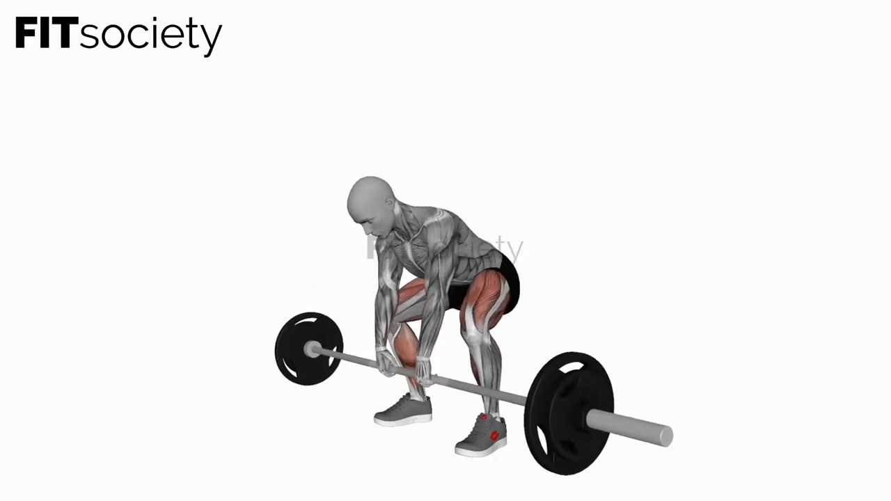 Barbell Sumo Deadlift