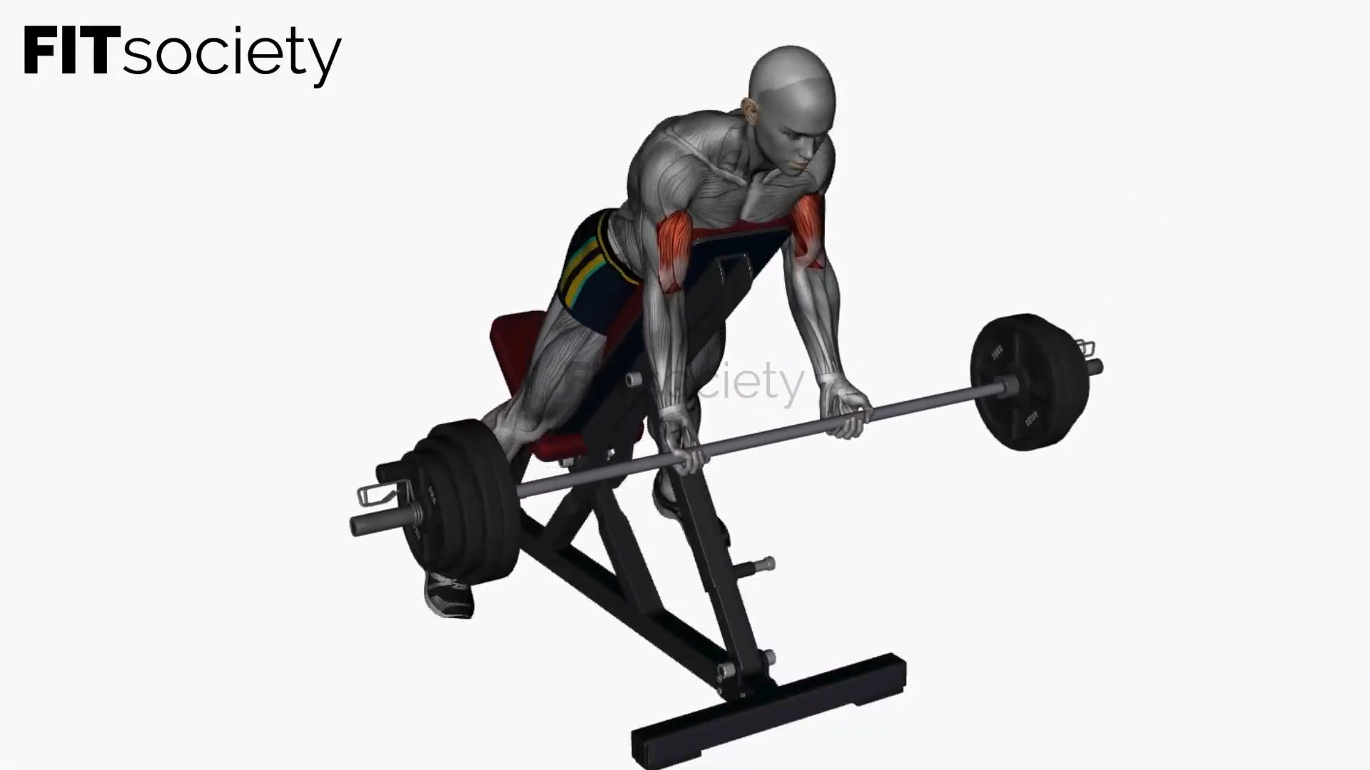Spider Curl with Barbell