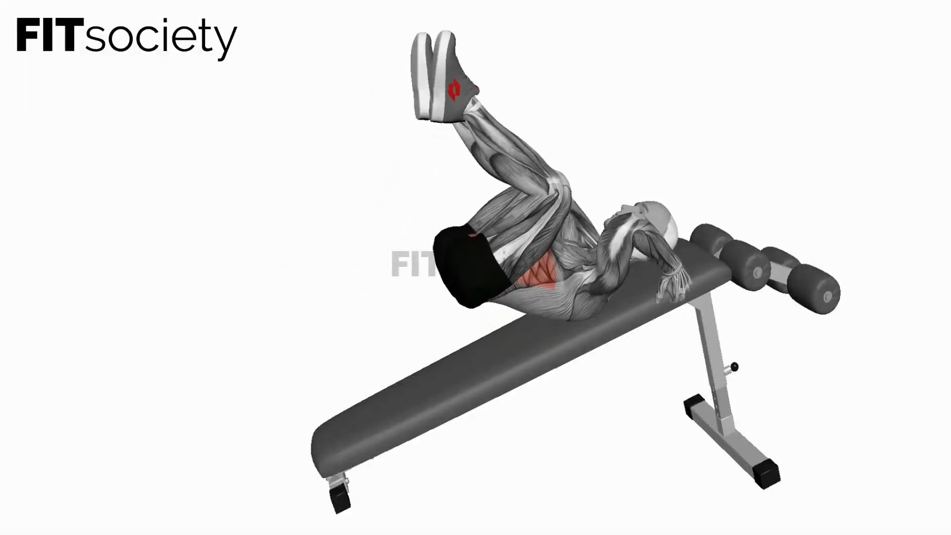 Decline Bent-Leg Reverse Crunch