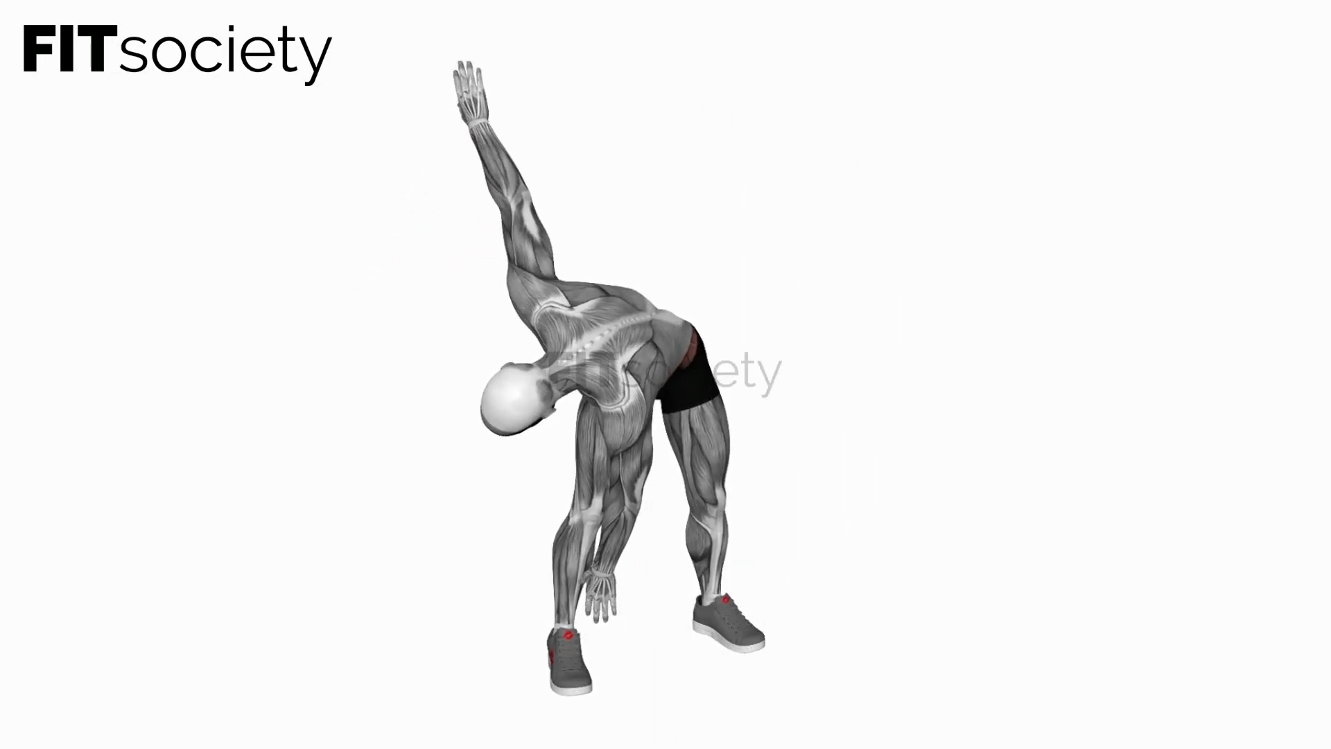Bodyweight Windmill Cut
