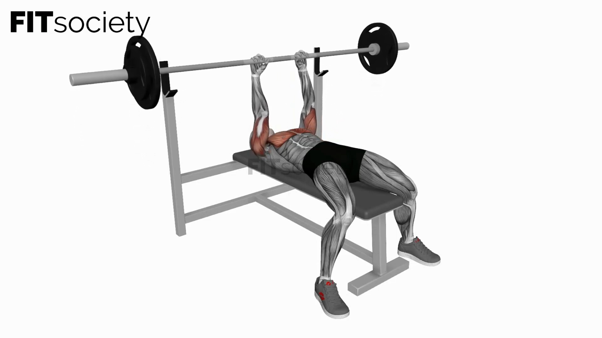 Barbell JM Bench Press