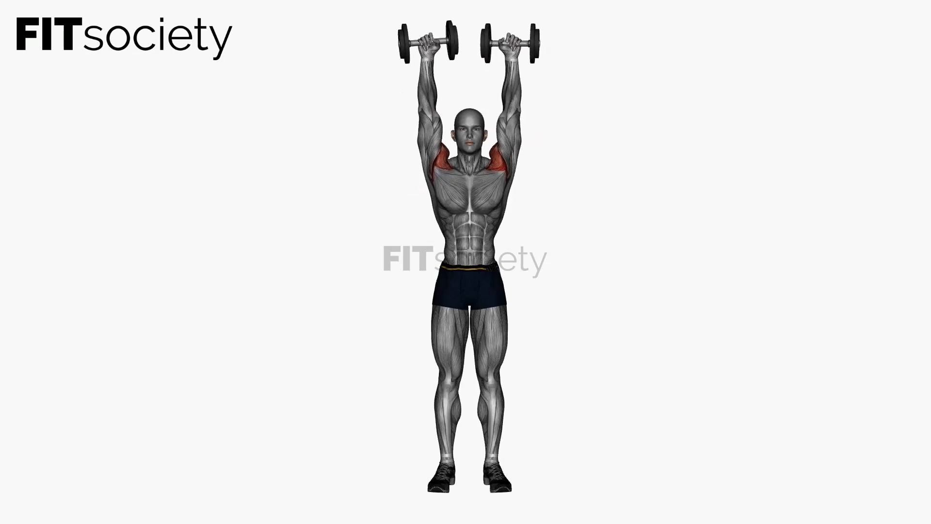 Standing Shoulder Press Dumbbell