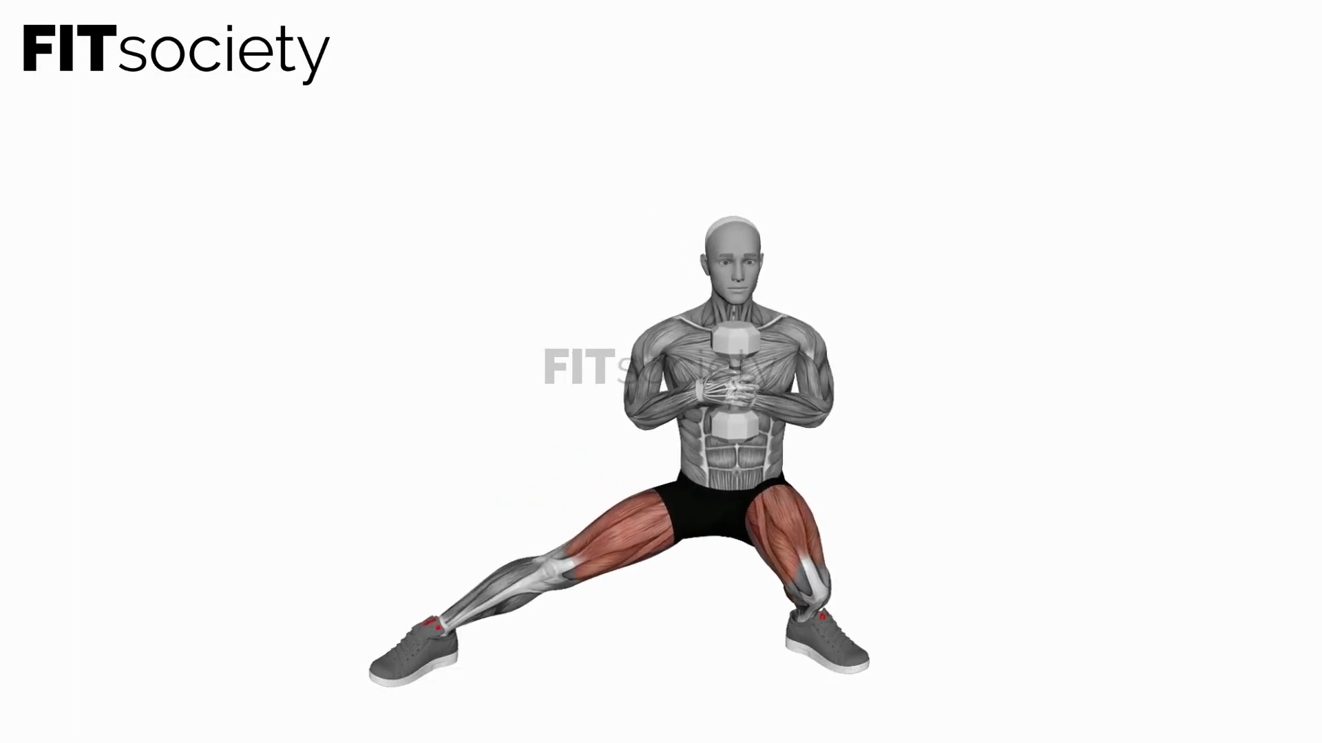 Dumbbell Side Squat Side To Side
