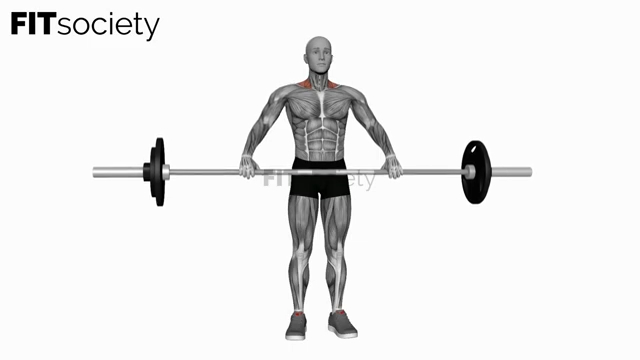 Barbell Wide Shrug