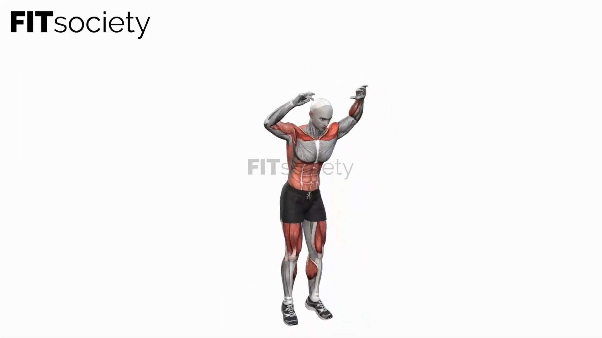 Burpee