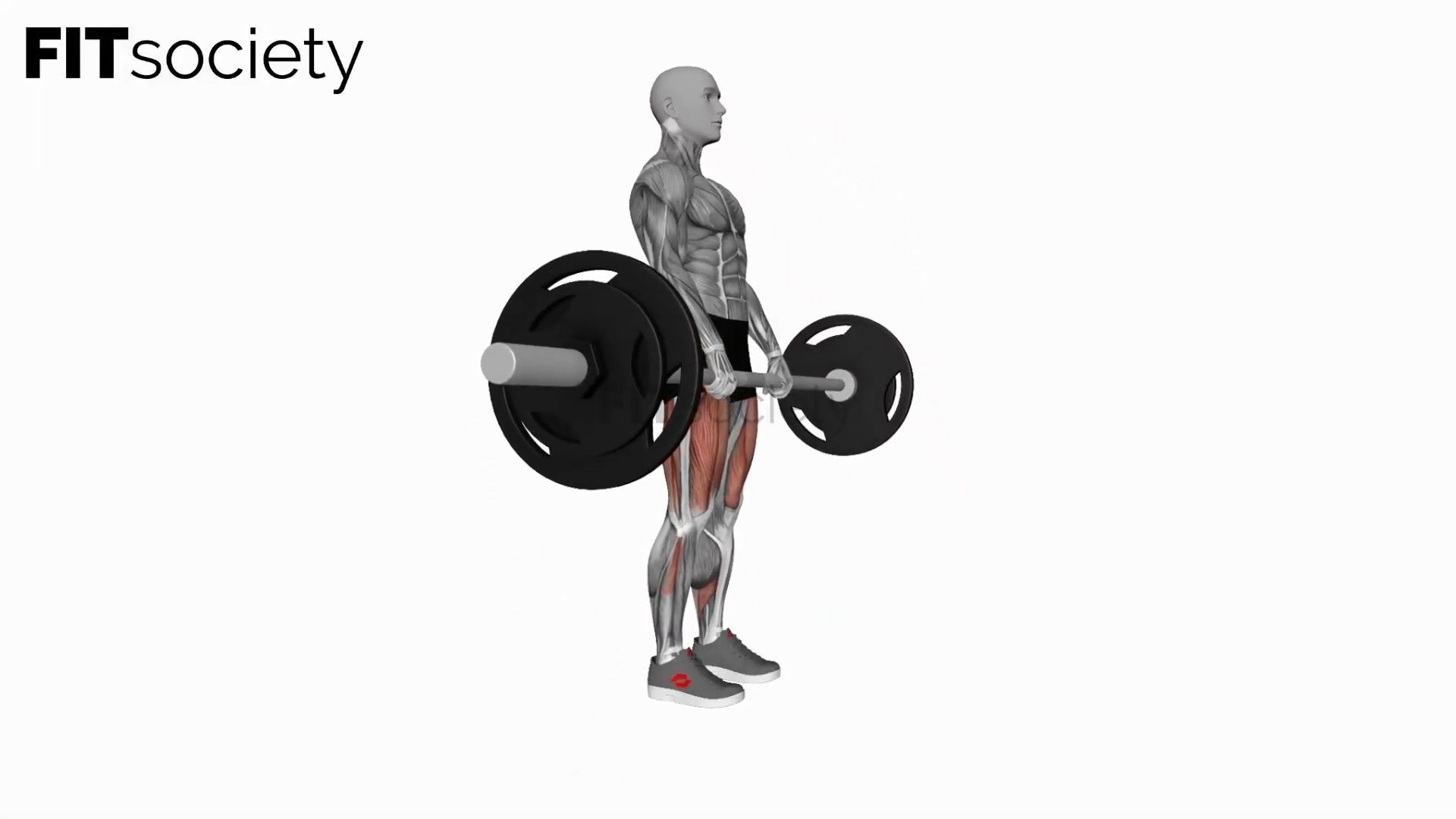 Barbell Straight Leg Deadlift