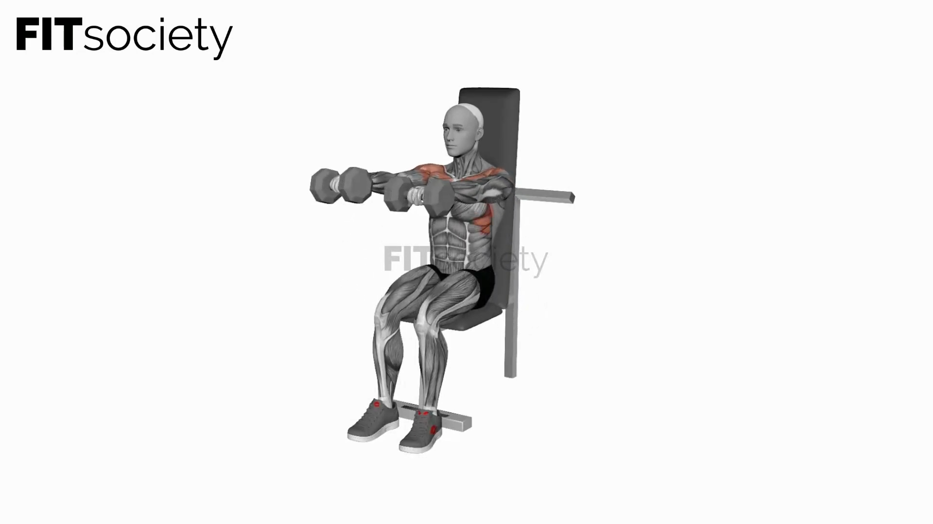 Dumbbell Seated Front Raise