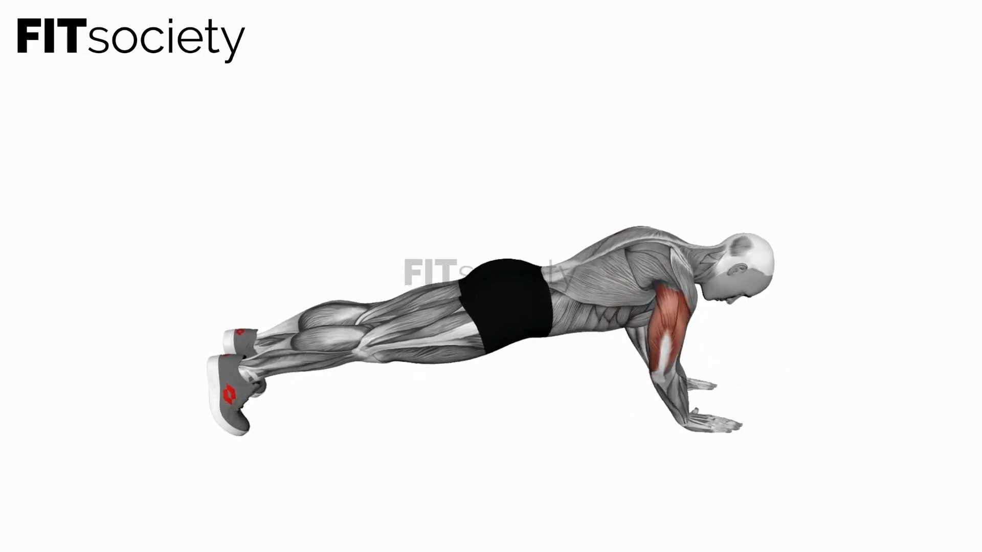 Body-Up