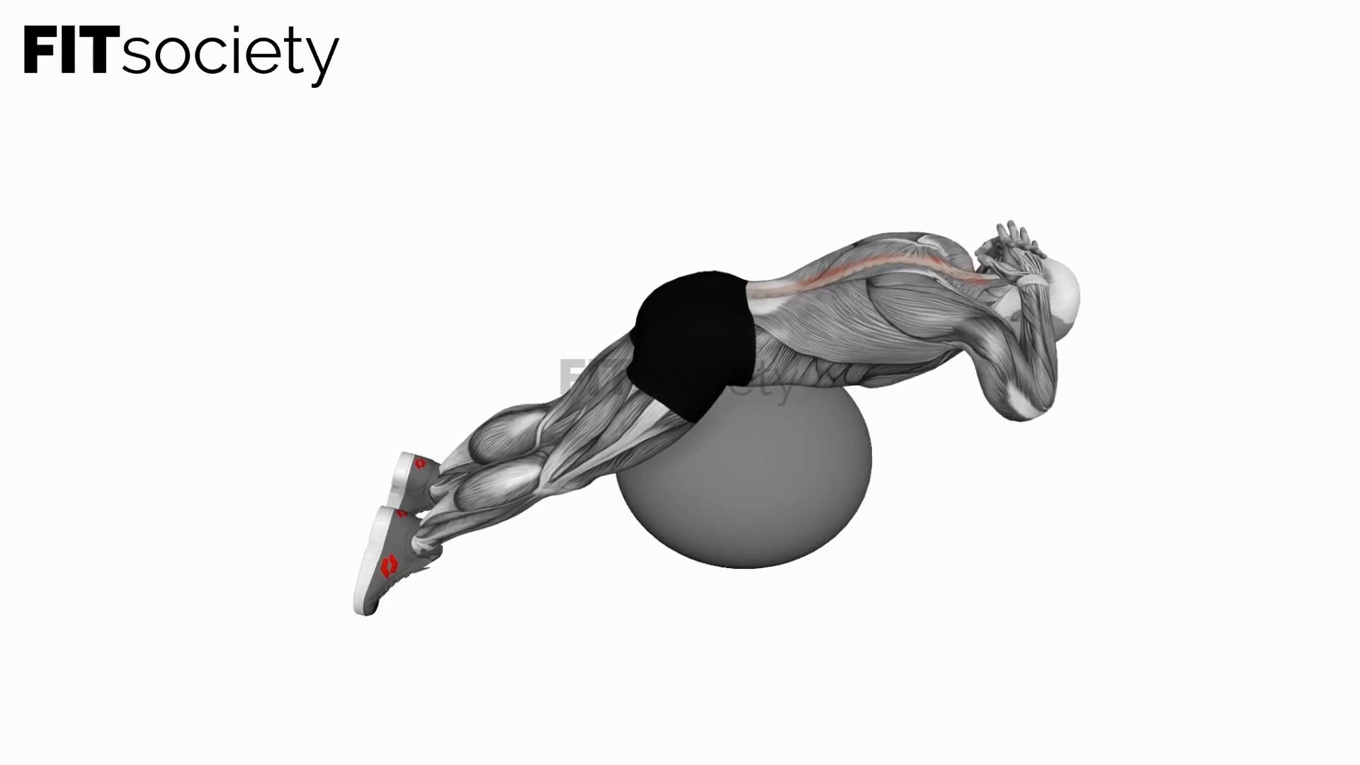 Back Extension On Exercise Ball