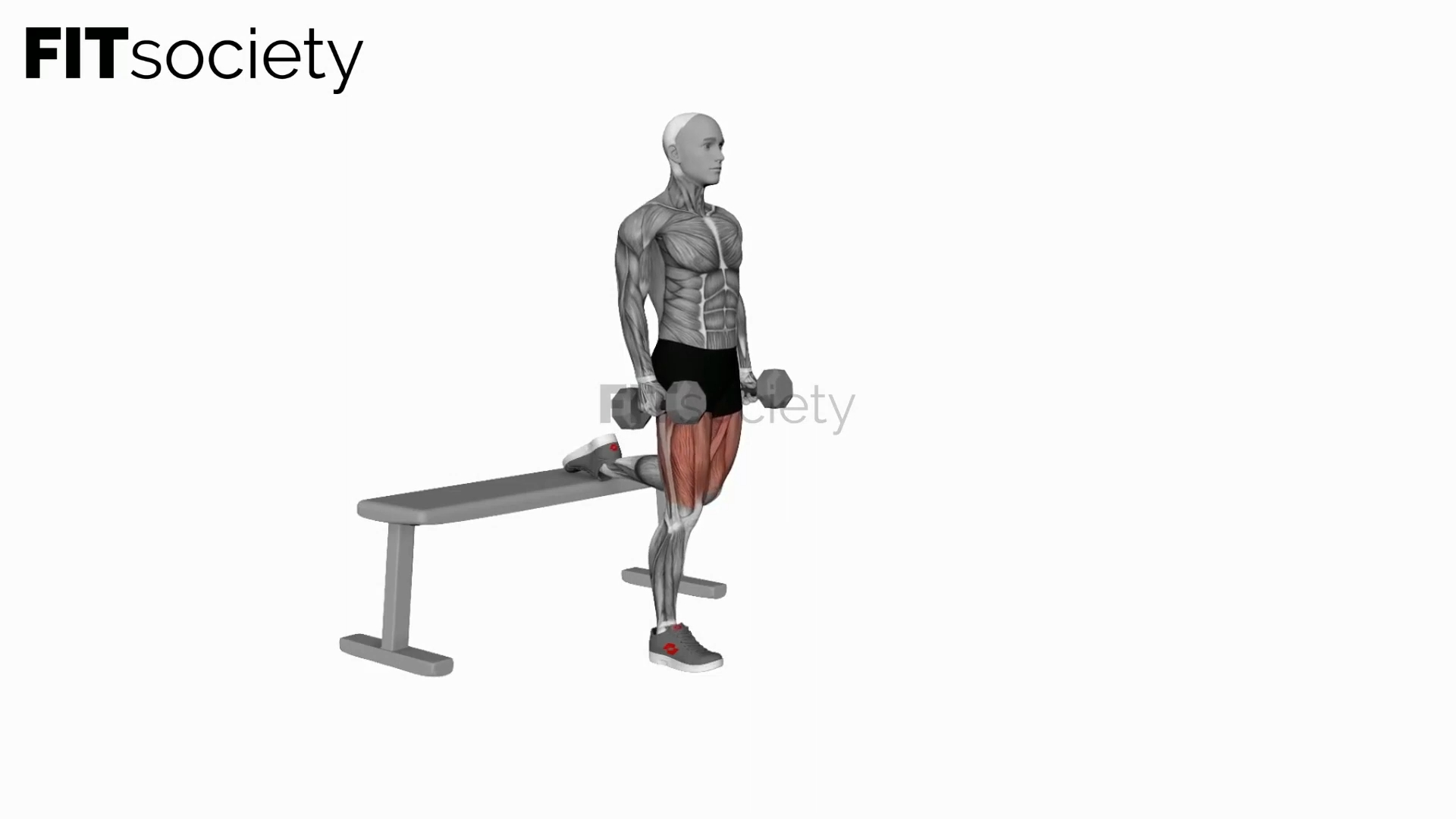 Dumbbell Bulgarian Split Squat