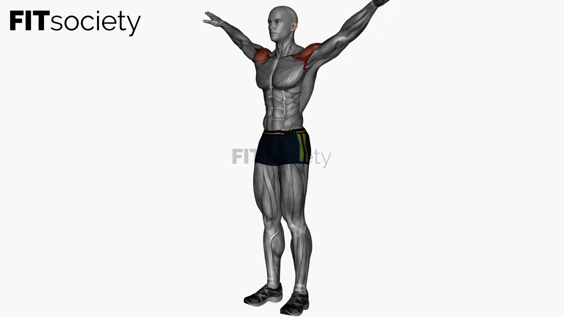 Arm Circle
