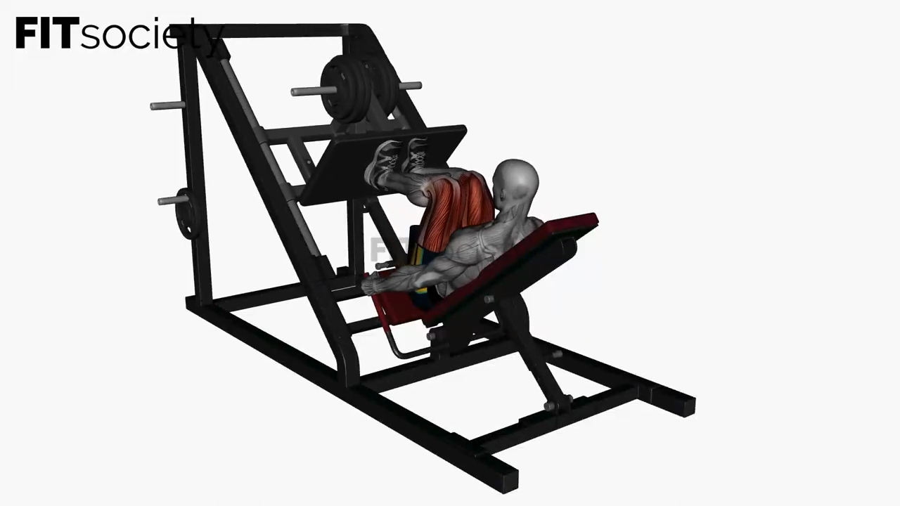 Leg Press Machine Close Stance