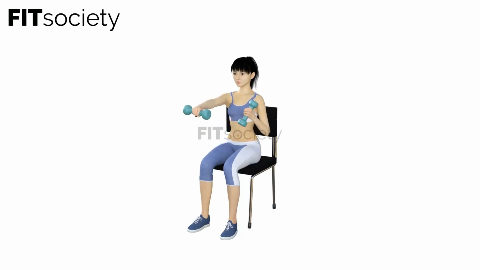 Seated Dumbbell Punch