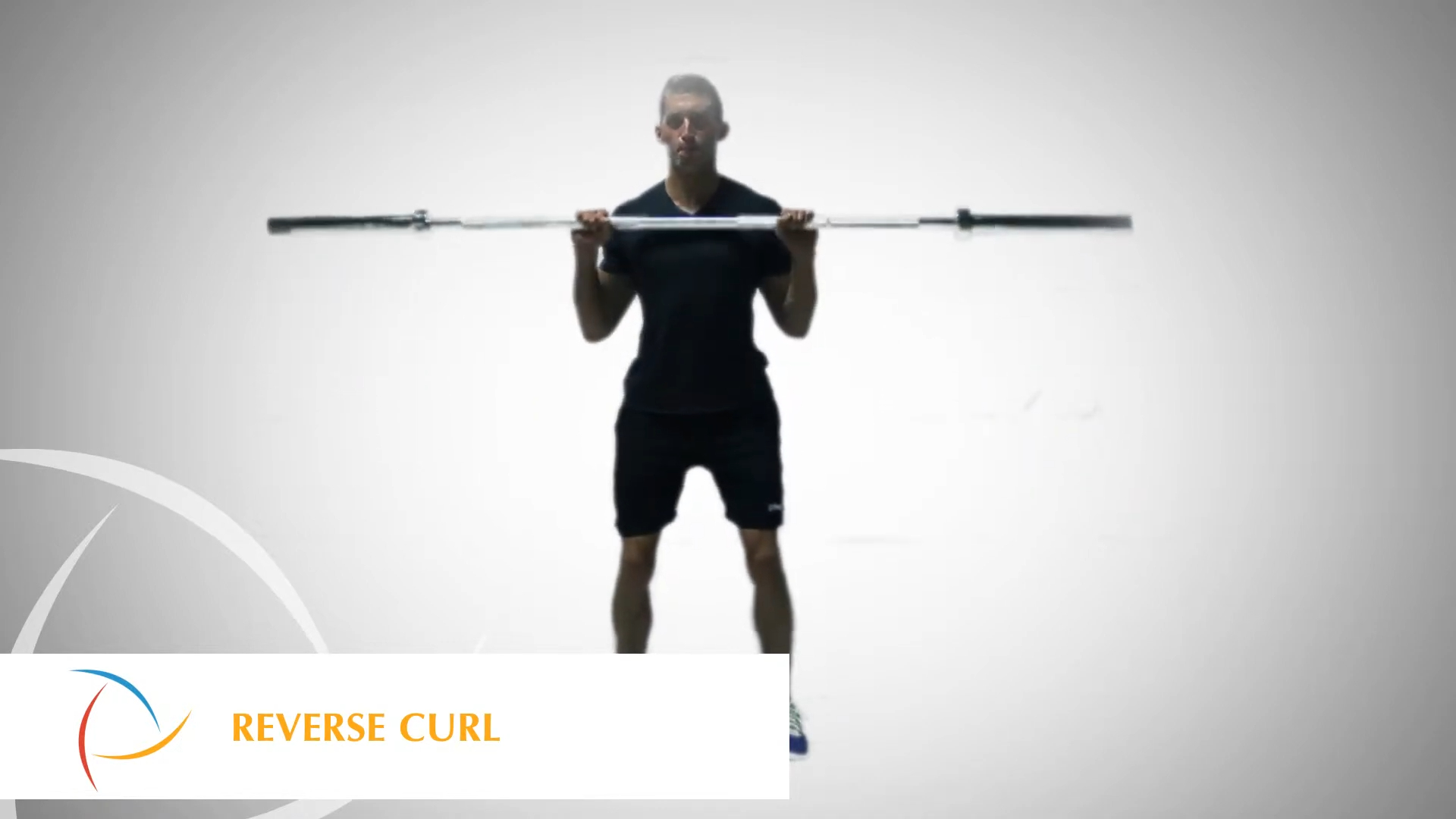 Reverse Curl