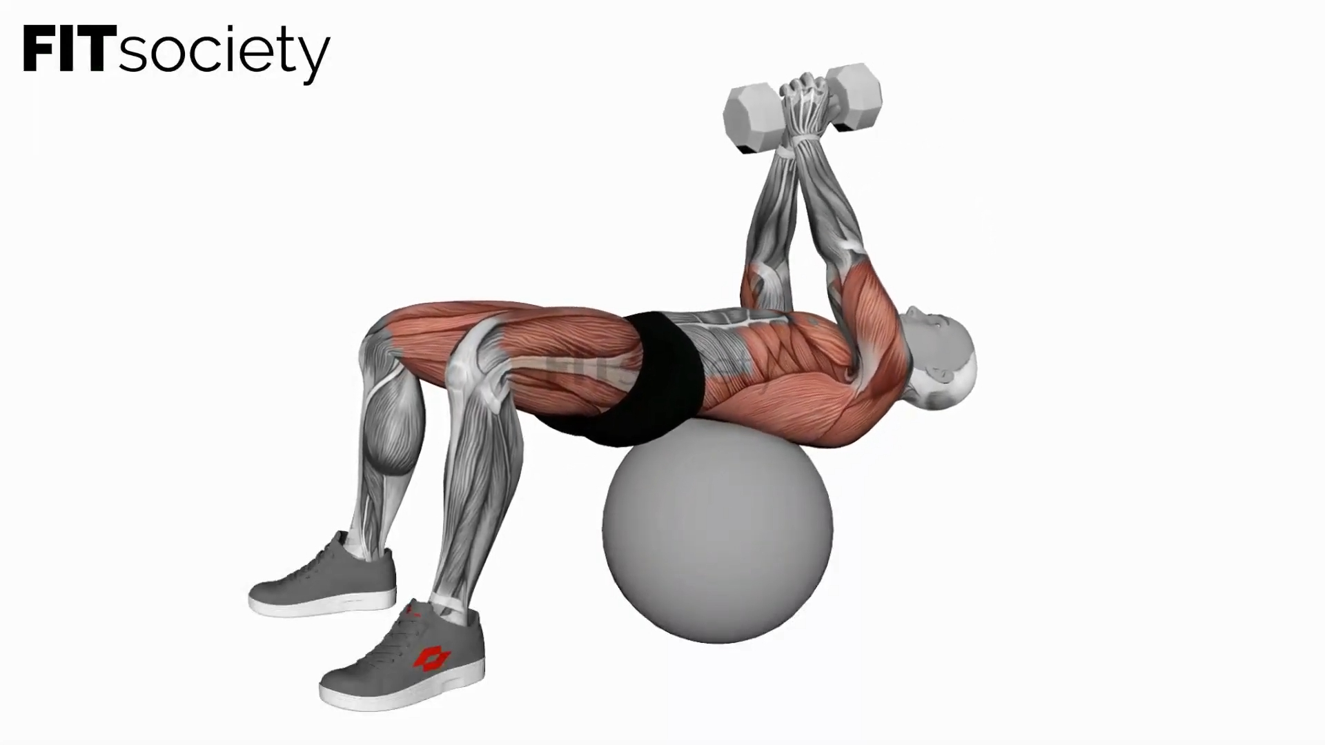 Dumbbell Pullover Hip Extension on Exercise Ball