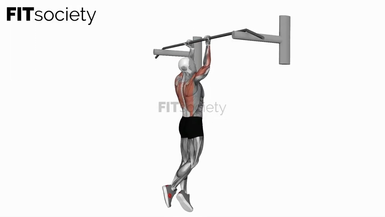 Chin-Up (Isometric and Negative)