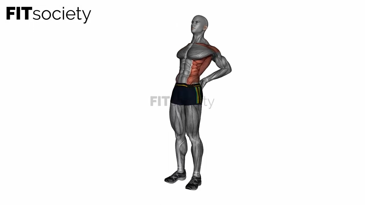 Elbow Back Stretch