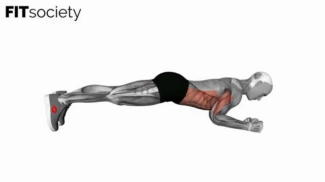 Elbow-Up and Down Dynamic Plank