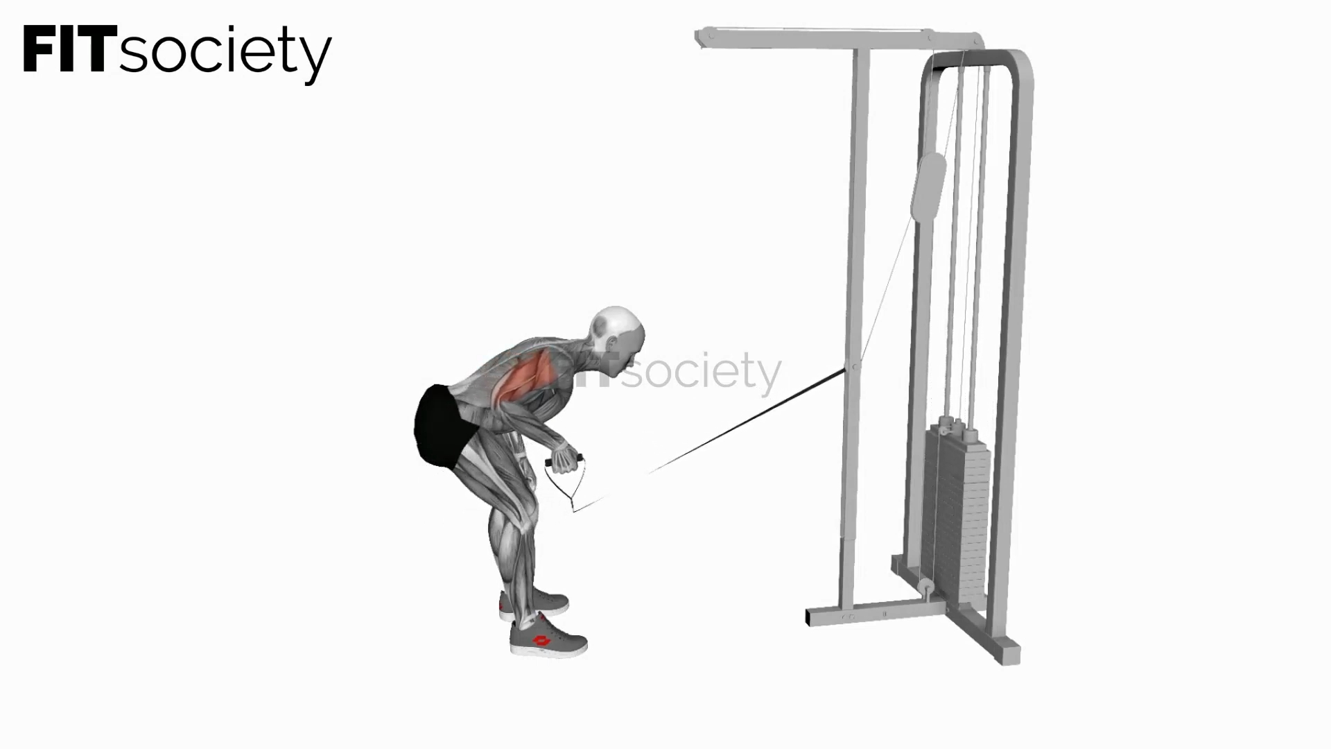 Cable Neutral-Grip Kickback