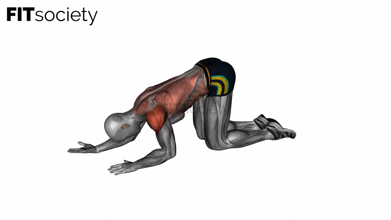 Kneeling Lat Floor Stretch