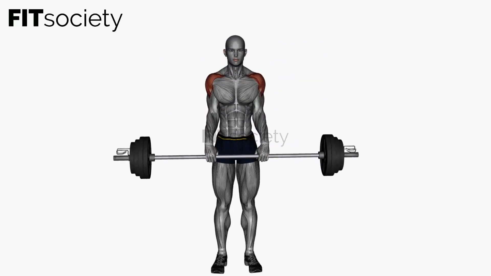 Front Raises Barbell