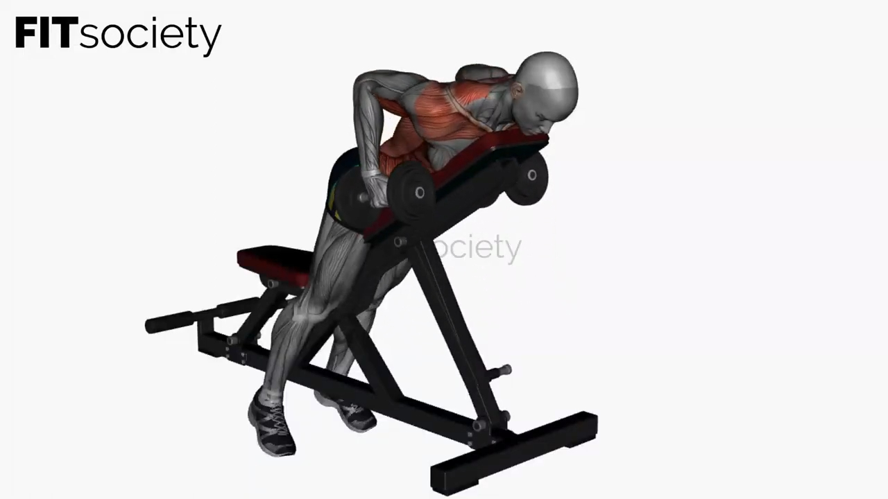Prone Bench Row Dumbbells