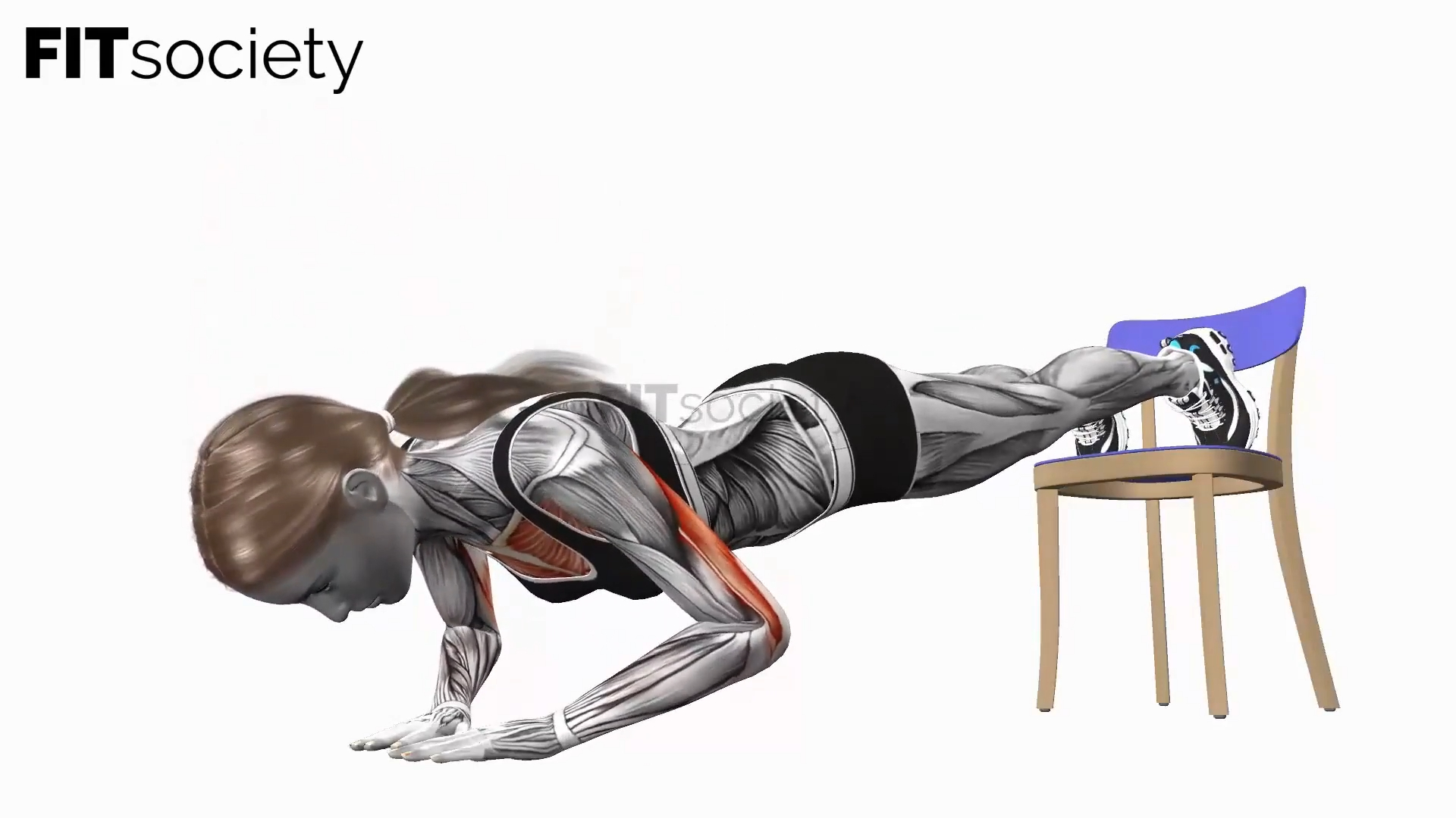 Decline Chair Push Up Diamond