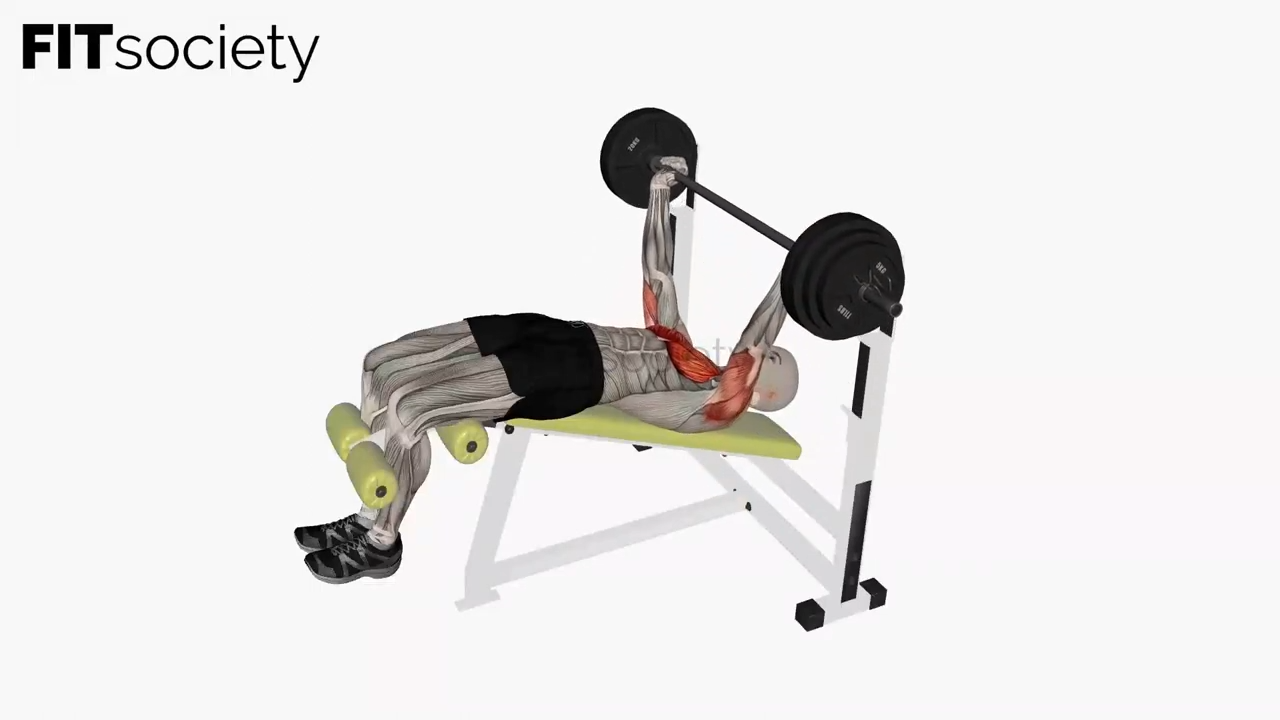 Decline Barbell Bench Press
